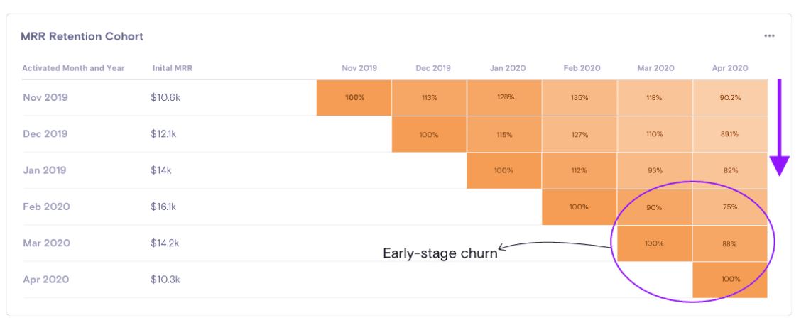 Monthly revenue retention cohort
